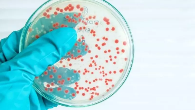 Imagem do curso: Doenças Infecciosas no Setor Hospitalar