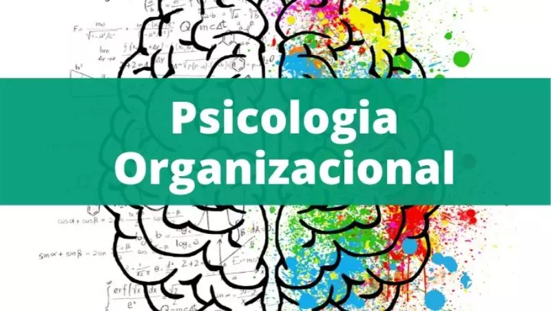 Imagem do curso: Introdução à Psicologia Organizacional