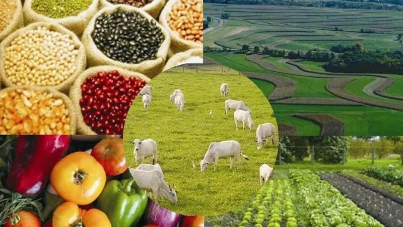 Imagem do curso: Agropecuária