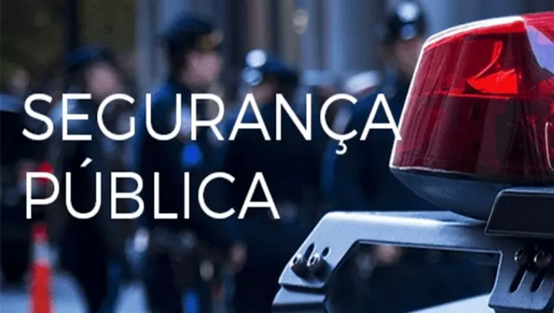 Imagem do curso: Introdução à Segurança Pública