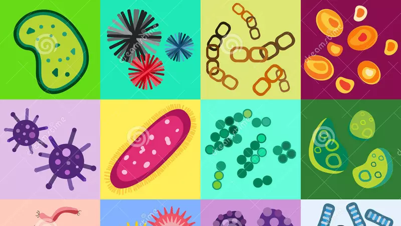 Imagem do curso: A Microbiologia e Imunologia