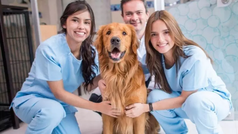 Imagem do curso: Auxiliar de Veterinária e Pet Shop
